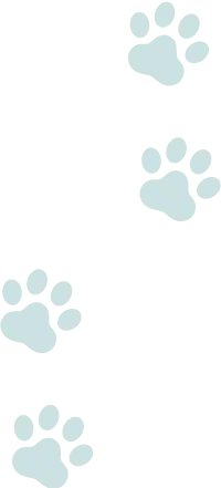 猫の足跡